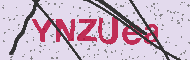 Ungültiger Sicherheitscode